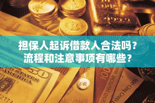 北京担保人起诉借款人合法吗？流程和注意事项有哪些？