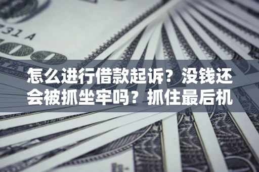 北京怎么进行借款起诉？没钱还会被抓坐牢吗？抓住最后机会！