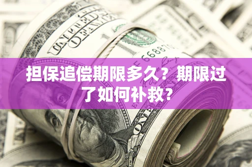 北京担保追偿期限多久？期限过了如何补救？