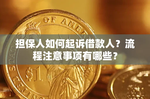 北京担保人如何起诉借款人？流程注意事项有哪些？